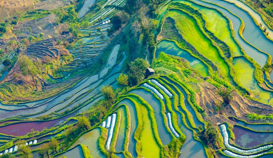 宝妈必备神器：纳溪区产品视频拍摄轻松育儿好帮手