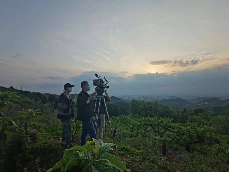 创意破圈！纳溪区电商产品宣传视频用故事化叙事引爆流量