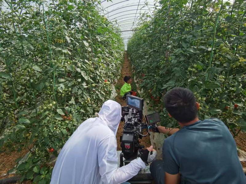 纳溪区产品宣传视频拍摄公司进阶指南，助力品牌抢占传播高地